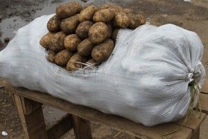  На Волині чоловік занадився красти в … сусідів