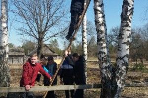 У шкільних лісництвах Маневиччини діти зробили 30 шпаківень
