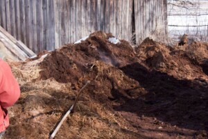 На Волині місцева влада змушує селян розкидати гній за правилами