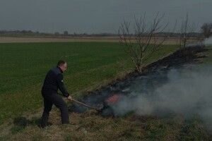 На Волині екоінспектори виявили паліїв та продавців черемші: як покарали