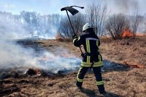 На Волині упіймали двох підпалювачів сухої трави