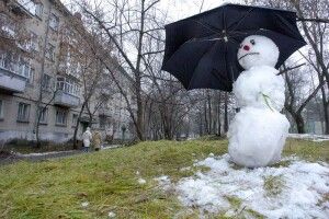 Тепла зима може наробити багато шкоди