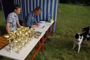 У Володимирі відбулася виставка мисливських собак