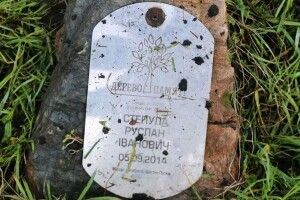 Уламки ворожої ракети зламали дерево пам’яті загиблого захисника 
