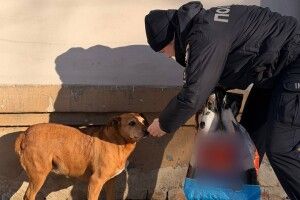 Волинські патрульні подбали про безпритульних тварин (Фото)
