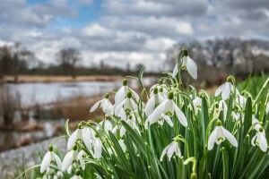 Якою буде погода на вихідні у Луцьку