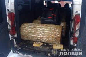У Ківерцівському районі поліція вилучила деревину сумнівного походження 
