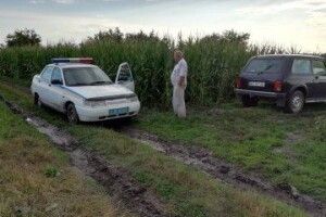 Колишній мер крав цибулю та капусту на чужому городі