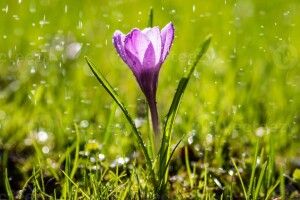 На Волині синоптики попередили про негоду і нічні заморозки