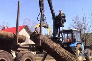 Лісокрад з Камінь-Каширського району зрізав дубів на 63 тисячі гривень