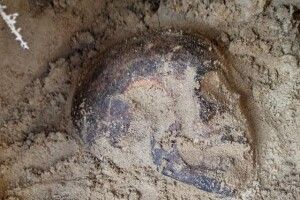 Знайшли могильник часів Стародавнього Риму