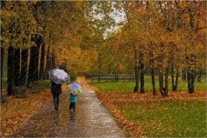 В Україну прийшли дощі: синоптики розказали, як довго триватимуть опади