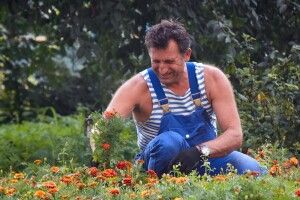 Волинянин Василь Рижук посадив свої чорнобривці і в Берліні!