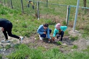 І вчителі, і школярі організували весняну толоку (Фото)
