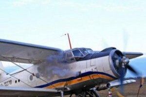 Шлюб у хмарах: в Україні з'явиться повітряний РАЦС