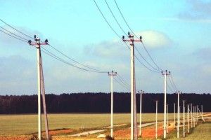 На Волині украли 880 метрів електрокабелю зі стовпів