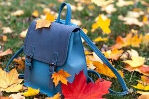 Чи підуть луцькі школярі на осінні канікули достроково