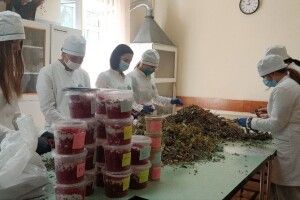 Луцькі студенти-фармацевти виготовляють лікувальні мазі і чаї для захисників (Відео)