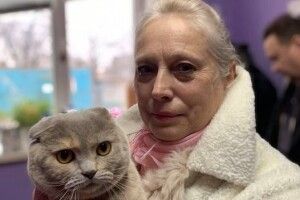 У Луцьку знайшли господарів для кицьки Кіккі