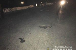 На Рівненщині водій на смерть збив чоловіка і втік