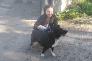 У Луцьку вдочерили песика-дівчинку, яку свого часу вивезли в ліс разом із цуценятами