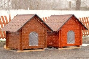 Собаколюби з Гіркої Полонки подарували луцьким псам відразу сім будок