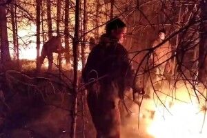 Понад пів сотні волинян серед ночі гасили лісову пожежу – і не впустили червоного півня у село (Відео)
