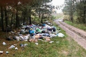 Як на Волині лісівники боряться зі стихійними сміттєзвалищами