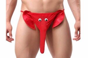 Під час пари в аудиторію КПІ зайшов кур'єр з доставки їжі, одягнутий в одні лиш стринги (відео)