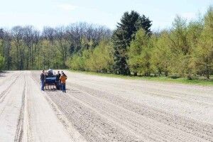 Лісівники Волині заготовили рекордну кількість насіння