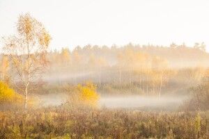 Завтра Волинь накриє туман