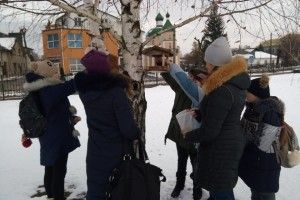 Ковельська малеча допомагає горобцям і синичкам перезимувати