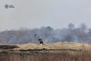 Згоріло півтора гектара трави: на Волині знову виявили палійку 