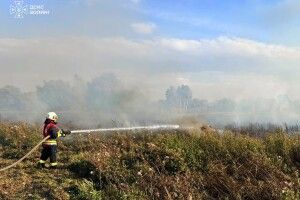 Минулої доби вогнеборці Волині ліквідували п'ять пожеж в екосистемах