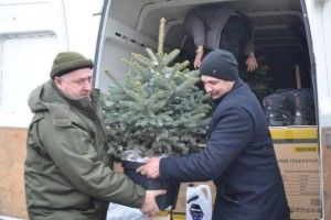 У Волновасі, на місці загибелі бійців, хочуть висадити волинські ялинки