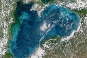 Судна браконьєрів шукатимуть за допомогою супутників