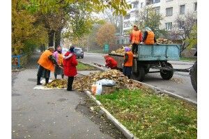 «У нас, бездомних, власна гордість…»