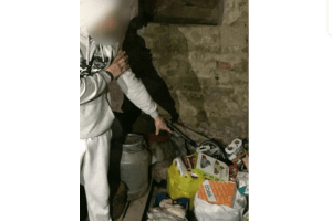 На Волині зловмисник вночі обікрав дитячий садок