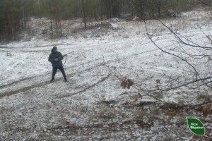 На Волині фотопастка допомогла затримати браконьєра
