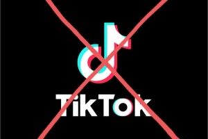 Діти деградують: Зеленського просять заборонити в Україні Тik-Tok