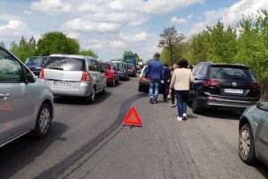 Рекордна кількість транспорту: на трасі Луцьк-Ковель – великий затор через фестиваль тюльпанів (Фото)