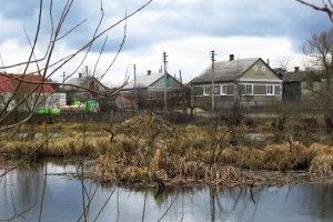 Волинські бобри спорудили велику хату просто посеред села (фото)