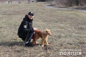 У Рівному рудий Бакс винюхав у штанях 29-річного молодика наркоту (фото)