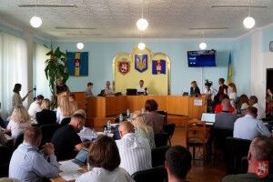 У місті на Волині на потреби військових виділили понад 33 мільйони гривень