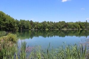 Погода на вівторок, 11 серпня: вдень можливі короткочасний дощ, гроза