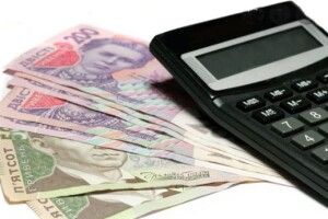 На тролейбуси, сміттєзвалище, поліцію: скільки грошей виділять у Луцьку на різні потреби