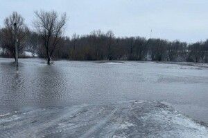 На Волині річки виходять з берегів