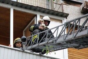 Бійці ДСНС врятували песика, який мало не вчадів через підгорілий на плиті борщ (фото)