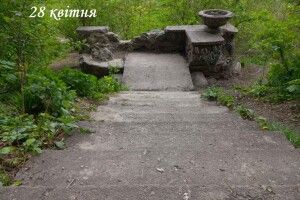 Лучанка обурена тим, що зробили невідомі у ботанічному саду