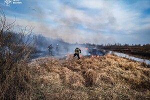 Минулої доби на Волині горіло в кожному районі (Фото)